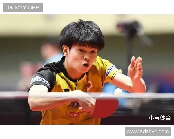 深圳乒乓球队实力提升引发热议新变革背后的故事与未来展望