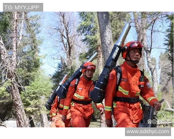 西安足球队的蜕变之旅从低谷到巅峰的奋斗与荣耀