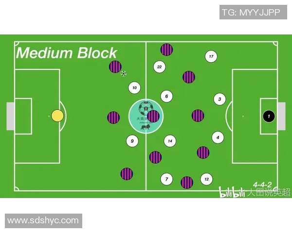 北京排球队区域防守体系解析与战术创新探讨