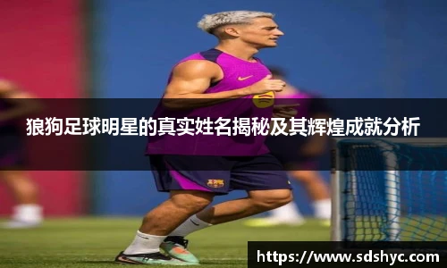 狼狗足球明星的真实姓名揭秘及其辉煌成就分析